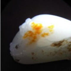 梅昕梅菲 梅昕梅菲