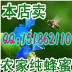 农家小蜜蜂 农家小蜜蜂