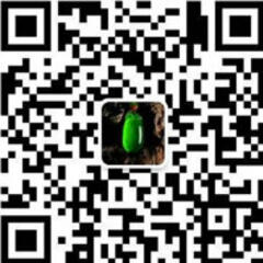 云翠坊翡翠 云翠坊翡翠